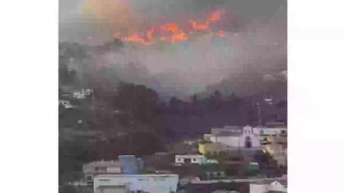 La Palmoje kiles misko gaisras tapo antrojo lygio ekstremalia situacija todel evakuojami gyventojai 2