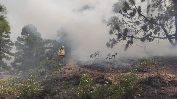 Situacija gaisro paveiktoje Tenerifes teritorijoje stabilizuota 1