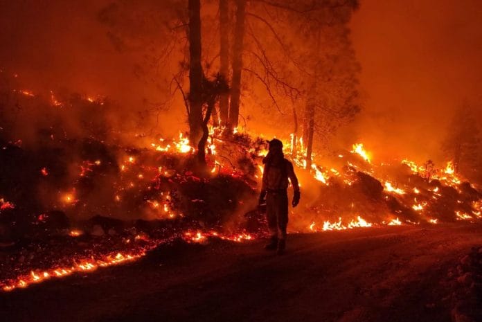 Situacija gaisro paveiktoje Tenerifes teritorijoje stabilizuota