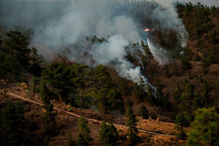 Situacija gaisro paveiktoje Tenerifes teritorijoje stabilizuota 5