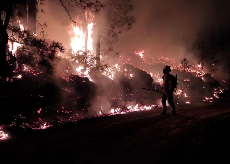 Situacija gaisro paveiktoje Tenerifes teritorijoje stabilizuota 6