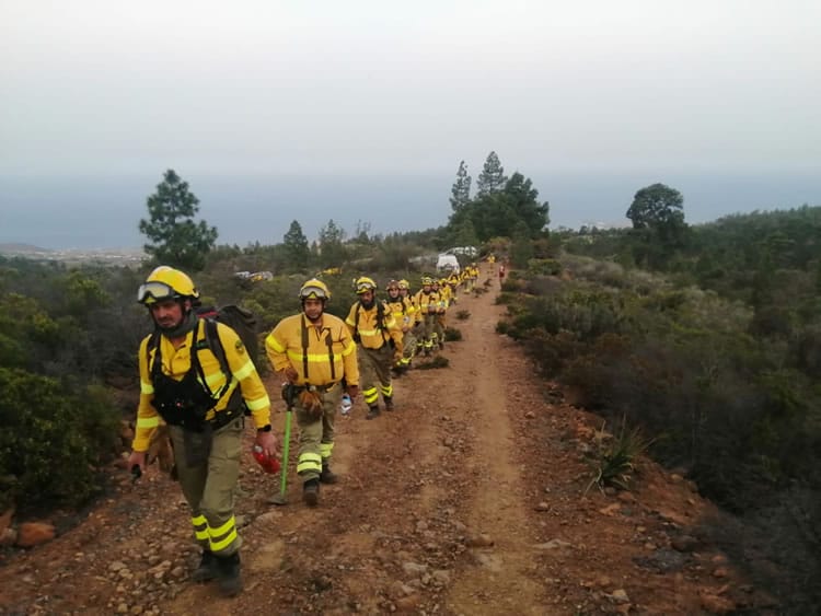 Situacija gaisro paveiktoje Tenerifes teritorijoje stabilizuota 8