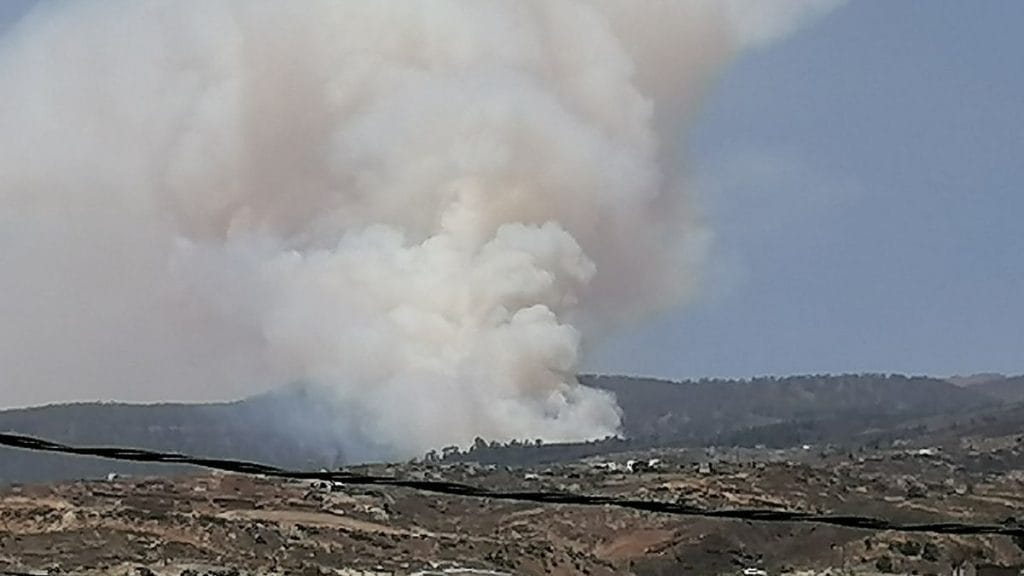 Tenerifes pietryciuose Arico regiono miske kilo gaisras 1 1