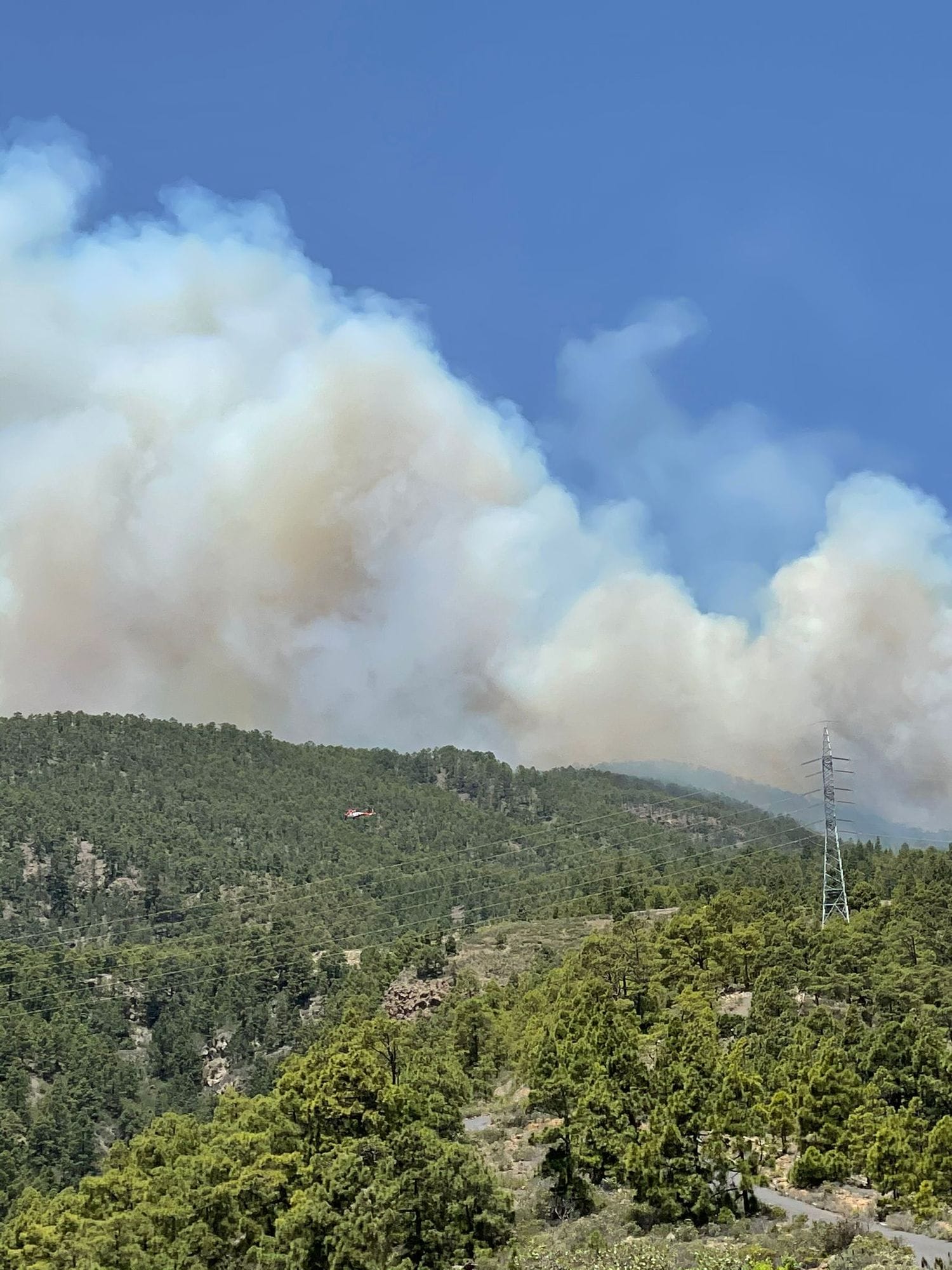 Tenerifes pietryciuose Arico regiono miske kilo gaisras 2