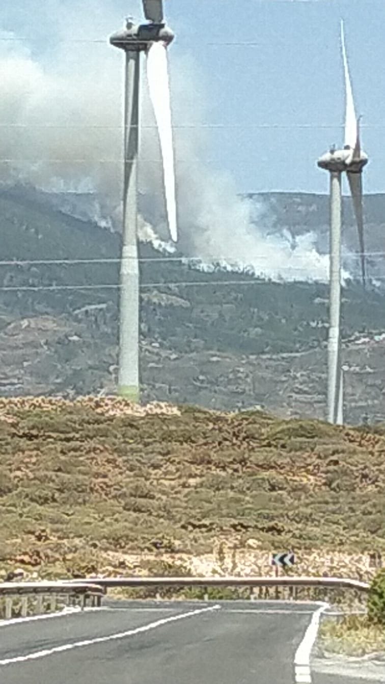 Tenerifes pietryciuose Arico regiono miske kilo gaisras 3