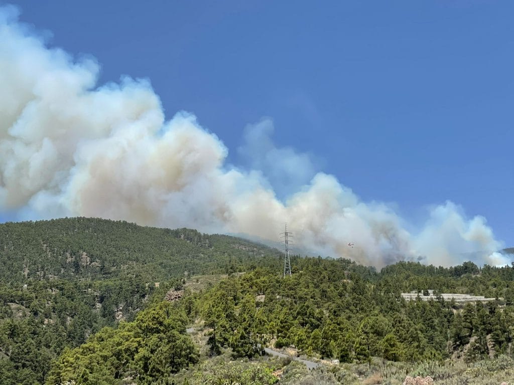Tenerifes pietryciuose Arico regiono miske kilo gaisras 5