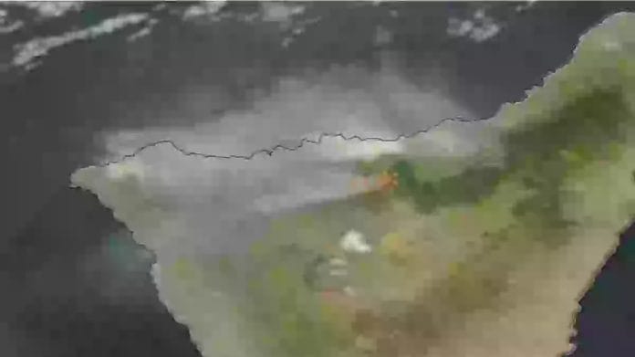 Tenerifes gaisras ir toliau nekontroliuojamai dega 100 hektaru plote