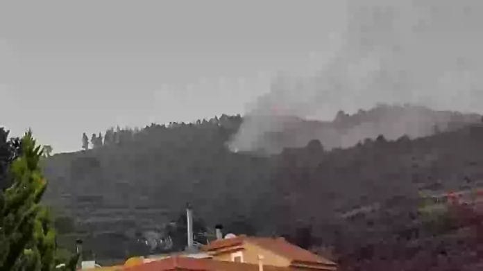 Tenerifeje kiles misko gaisras dabar apima desimt hektaru plota