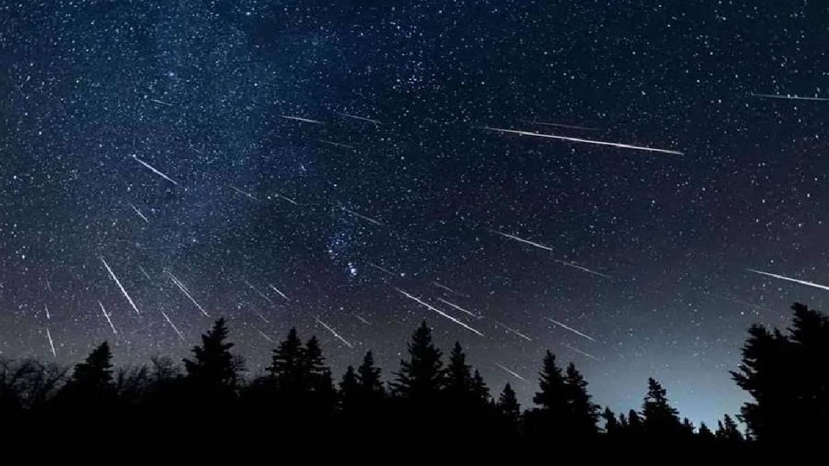 Šį Savaitgalį Dėl Perseidų Meteorų Lietaus Bus Ribojamas Patekimas į 