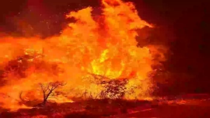 UPDATE Tenerifeje kiles gaisras yra nekontroliuojamas ir dabar apima 1 200 hektaru plota